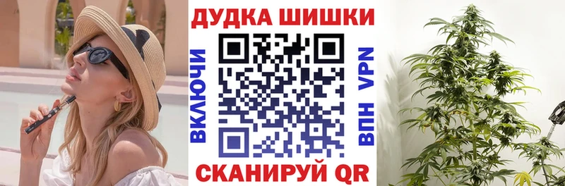 Купить закладки  Чусовой  Каннабис сатива 